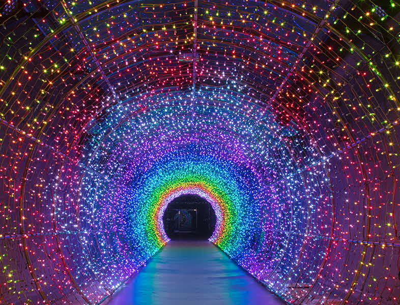 tunnel2